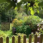 Altes Gehoeft Am Lormanberg Appartement