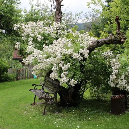 Altes Gehoeft Am Lormanberg * Kirchberg an der Raab