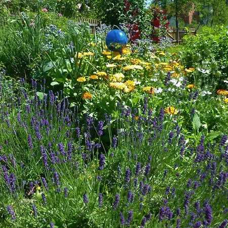 Altes Gehoeft Am Lormanberg Appartement