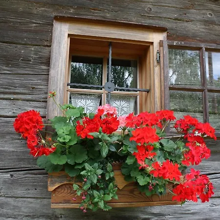 Altes Gehoeft Am Lormanberg Apartamento *